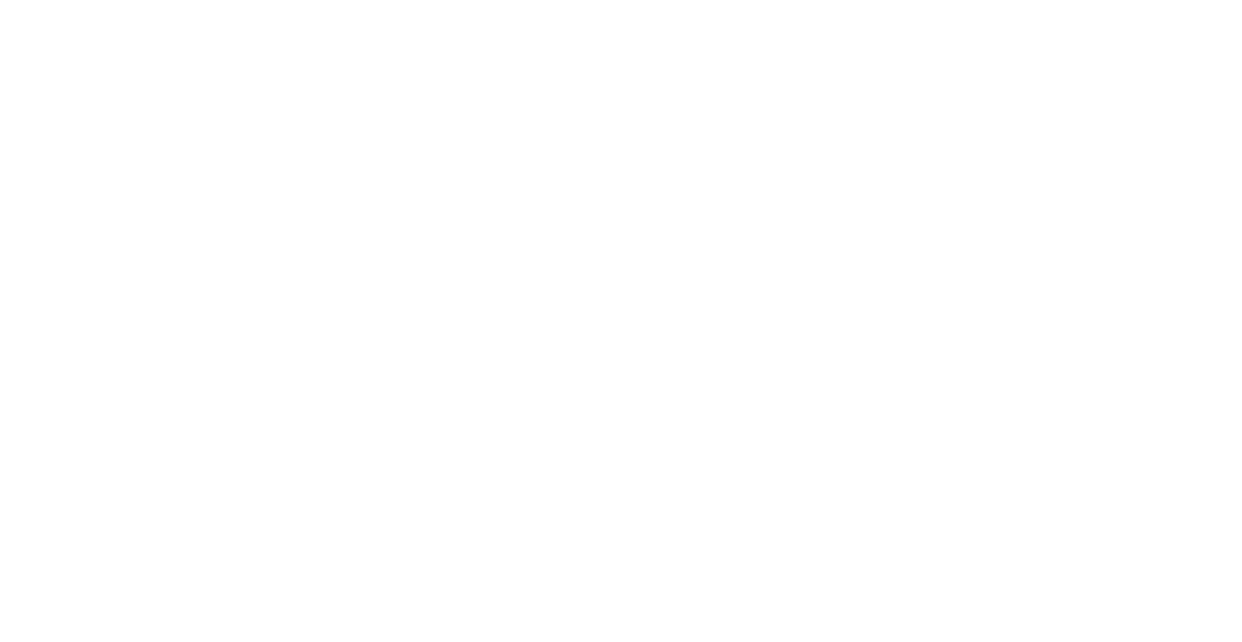 Phoenix Prime Focus